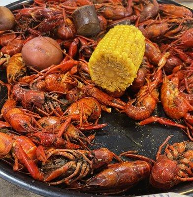 Berled crawfish