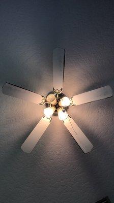 Ceiling fan dusting!