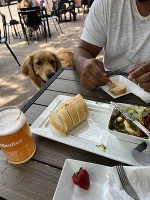 Coopy eyeballing the burrata