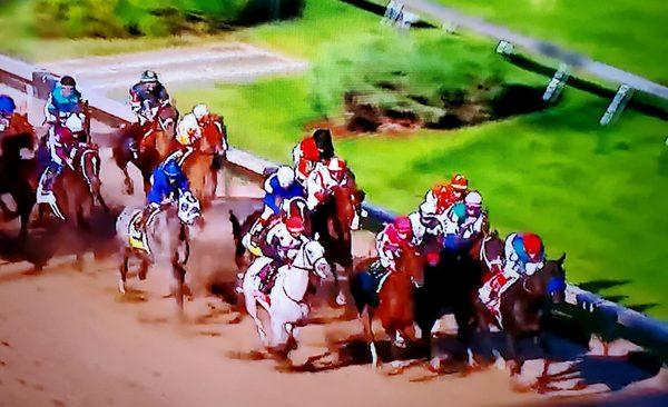 MEDINA SPIRIT has won the Kentucky Derby! - (5/1/2021)