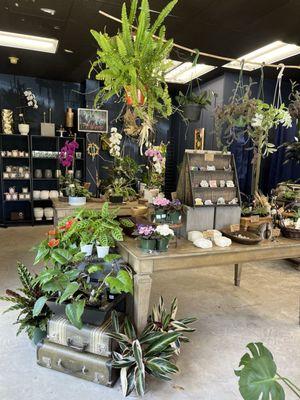 Mercer Island Florist