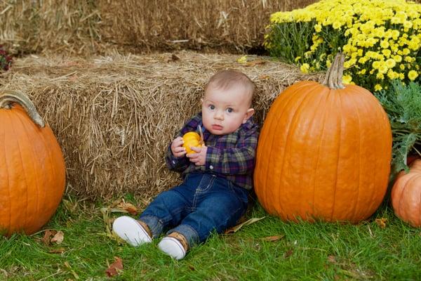 One of our best events so far! #OldBridgeDental #FreeFallFamilyPhotoDay #MikeMcLaughlinPhotos #CrossroadsNursery #October2015