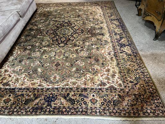 Oriental rug 8' x 11'