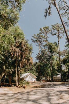 Timberline Glamping