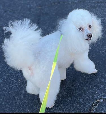 Puffy after Mr Barry groomed him