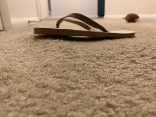 Flip flop to show how uneven carpet was after rug repaired poorly after washer leaks