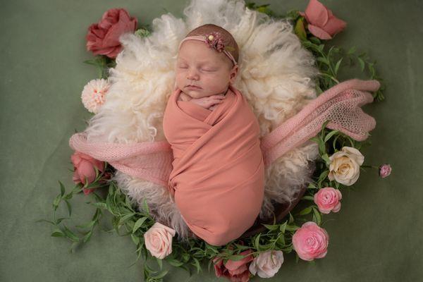 Newborn Studio Photography