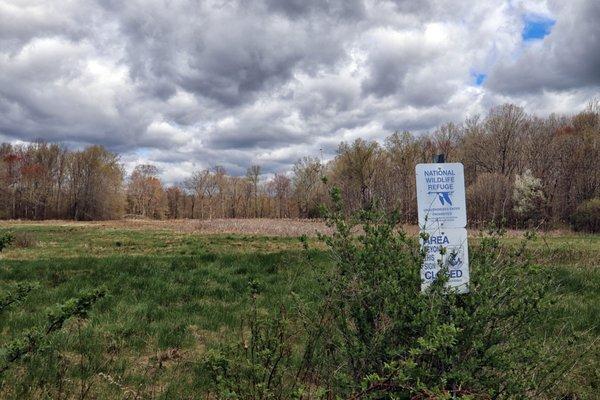 The Raptor Trust is adjacent to the Great Swamp NWR