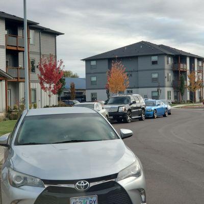 Example of how stupid these apartments are. No parking and only one side of the street you can park or you get a ticket