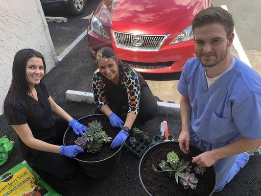 Putting together some nice succulents at Jacksonville Emergency Dental