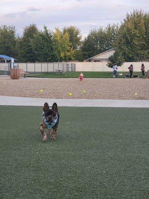 Astroturf to Gravel to grass view