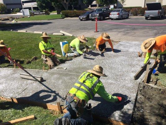 Asphalt Paving sealcoating  Contractor