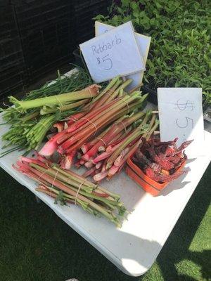 Saturday morning farmers market