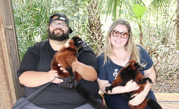 Holding lemurs