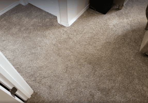 Carpet 911 - Boise Carpet Cleaning & Repair