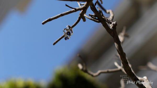 The wedding rings captured on a beautiful branch in the Japanese Gardens in San Francisco.