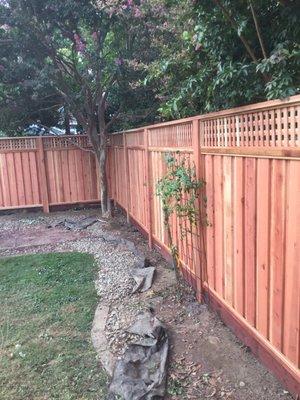 Moved in recently and fencing is first step in backyard improvements.