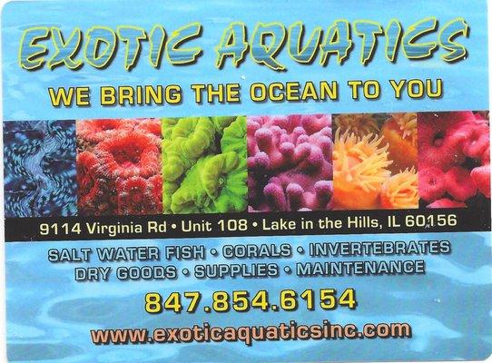 Exotic Aquatics