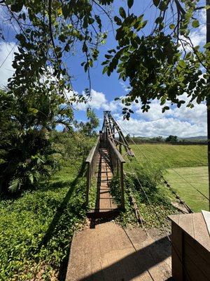 historical swinging bridge - been through hurricane ewa and hurricane iniki.  it has seen it's mother nature.