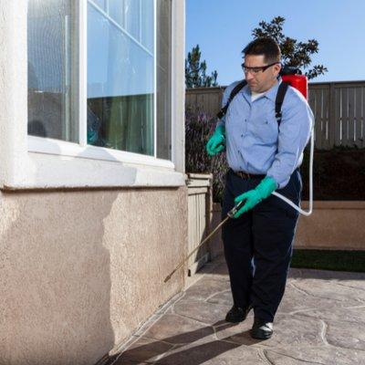 We provide high quality care for your home to keep unwanted pests to a minimum.