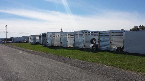 Horse Trailers!