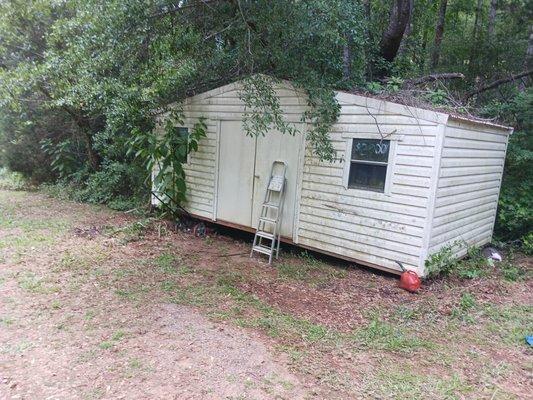 They cleaned all up and it looks awesome.  Now I can trim vines and get the shed cleaned out.