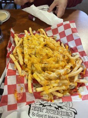 Cheese fries-appetizer