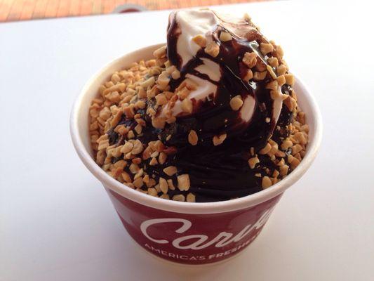 Sundae with vanilla ice cream, hot fudge, and crushed peanuts