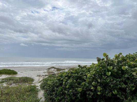 View from the gazebo