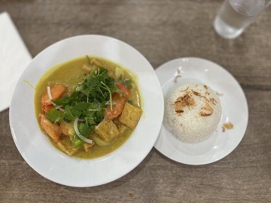 Vietnamese Curry with Fried Tofu