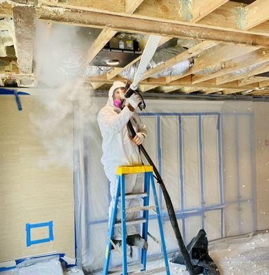 Mold Remediation