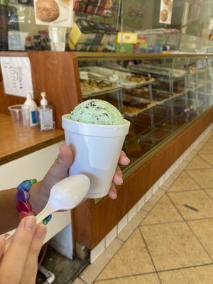 Mint chip thrifty ice cream