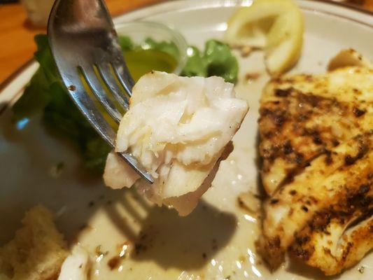 Interior pan seared halibut