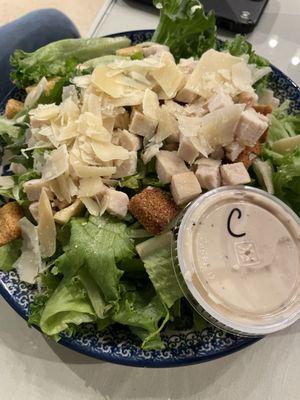 Chicken Caesar salad