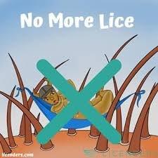 One treatment, no more lice.