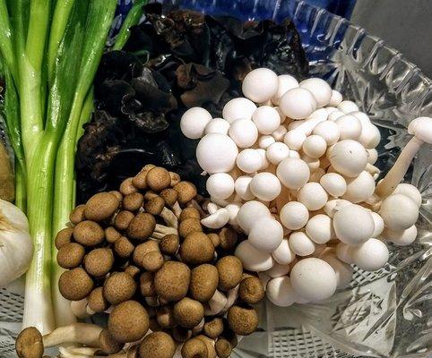 Some of the stuff I got from Korea Mart: scallions, wood ear mushrooms, brown and white enokitake mushrooms.