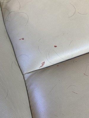 Blood on car seats