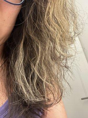 Hair after 5 days despite using hair repair products every day