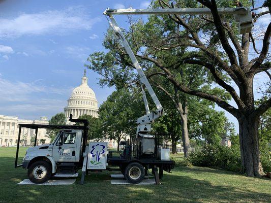 RTEC Tree Care