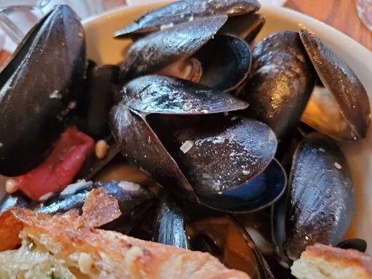 mussels app