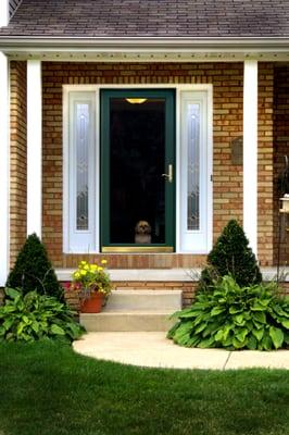 Provia Decorator Model 590 Storm Door