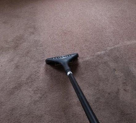 Carpet Cleaning by Precise