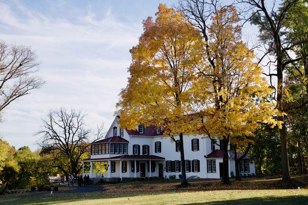 The Renovated Mansion