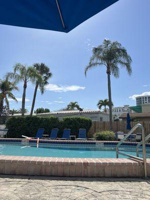 1pool view with iguana poop al over. NO MAINTENANCE GUY TO CLEAN UP!!!