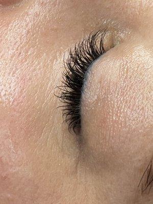 Classic lashes