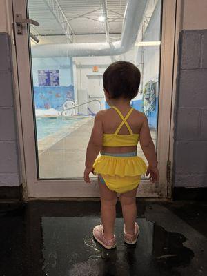 Pool door