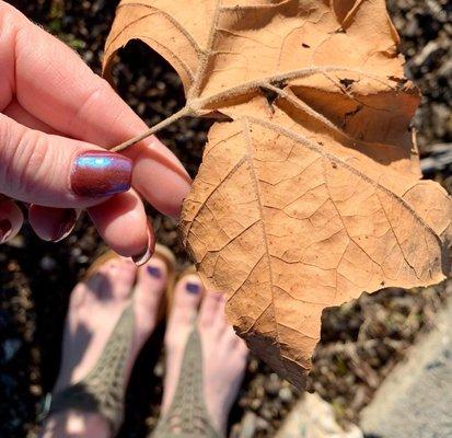 SNS fall chrome nails