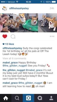 From OTL Instagram on my pups birthday