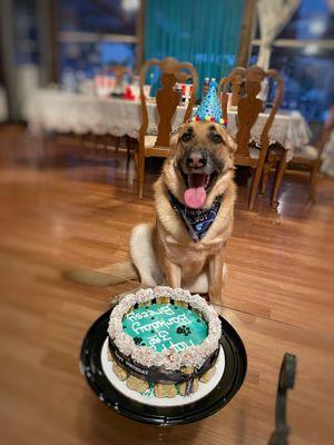 Birthday cake for my dog's 3rd birthday