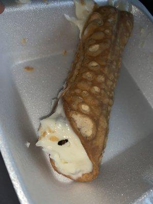 a bug enjoying my cannoli before i can.